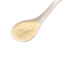 China Suppliers Food Grade Health Supplements Lactobacillus Casei Probiotic Powder